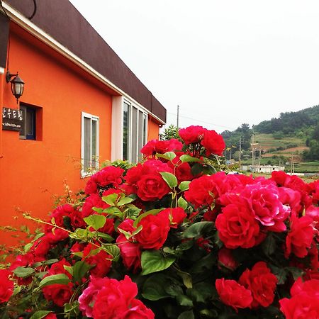 Hanudream Pension Yeosu Exterior photo