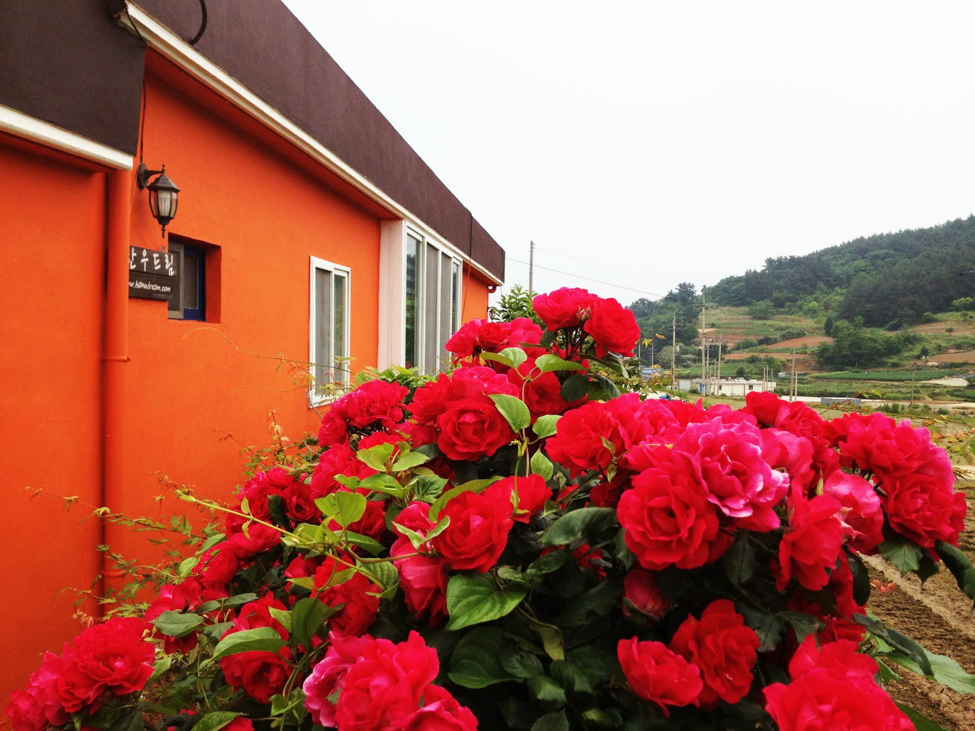Hanudream Pension Yeosu Exterior photo